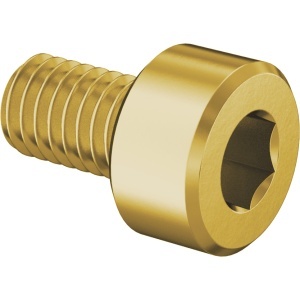 Brass Socket Head Screw M3 x 0.50 mm Thread size, 5 mm Long图2